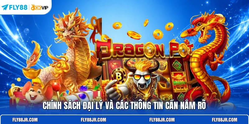 Chính sách đại lý và các thông tin cần nắm rõ