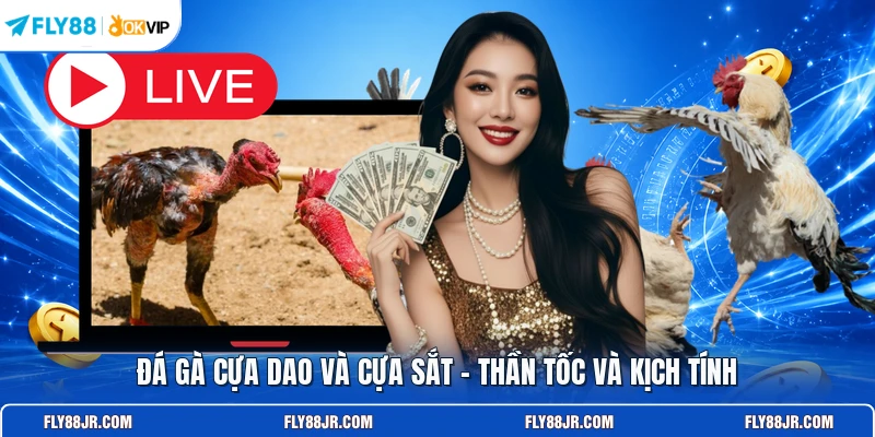 Đá gà cựa dao và cựa sắt - Thần tốc và kịch tính