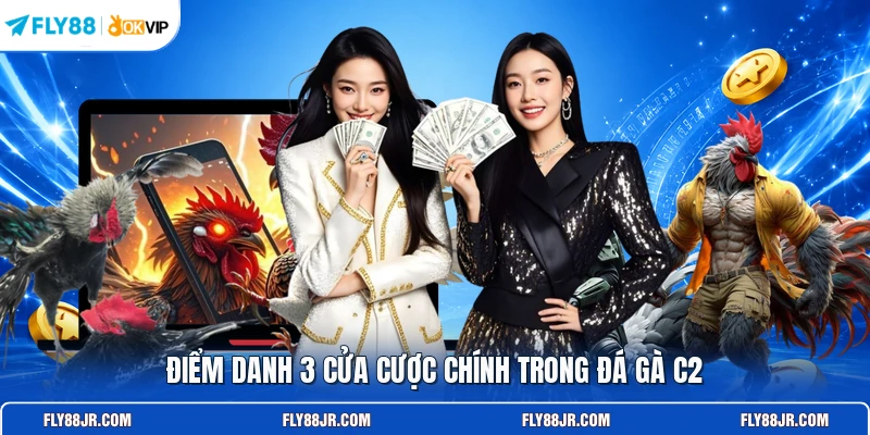 Điểm danh 3 cửa cược chính trong đá gà C2