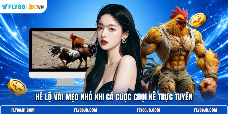 Hé lộ vài mẹo nhỏ khi cá cược chọi kê trực tuyến