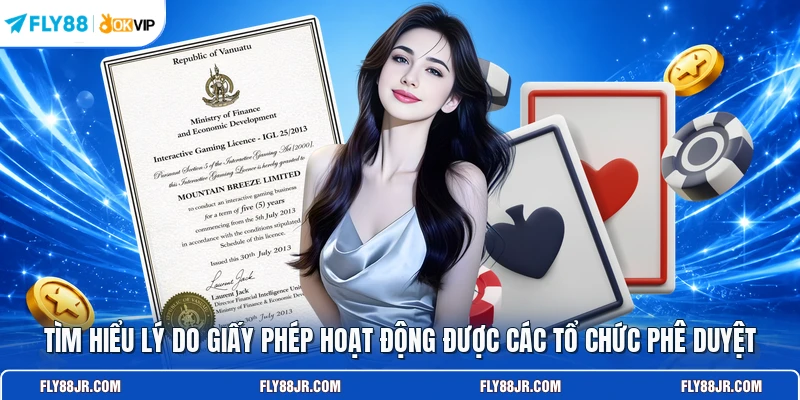 Tìm hiểu lý do giấy phép hoạt động được các tổ chức phê duyệt